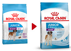 Royal Canin Giant Junior